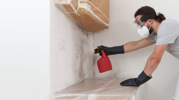 Professional Bathroom Mold Removal technician working in Bainbridge, PA