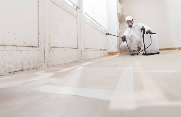 24/7 Emergency Bathroom Mold Removal experts in Bainbridge, PA